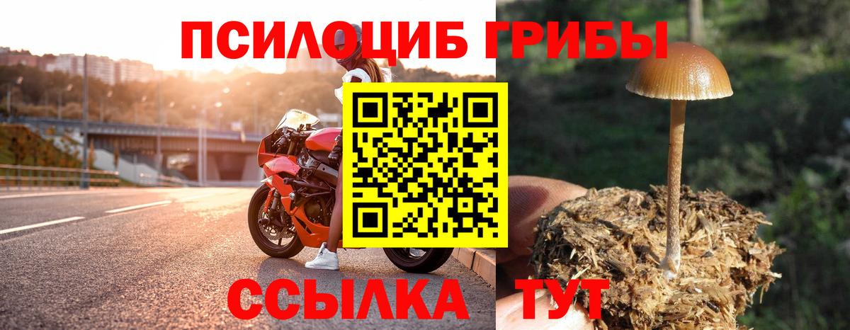 Псилоцибиновые грибы прущие грибы  Псилоцибиновые грибы GOLDEN TEACHER  Славянск-на-Кубани  Вход с VPN 